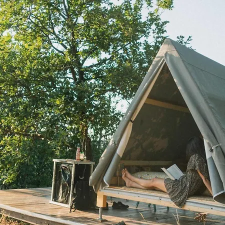 Tipi Arya