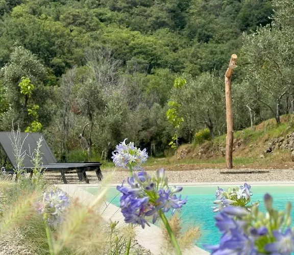 Arya Campo de lujo *